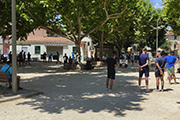 Photo 47